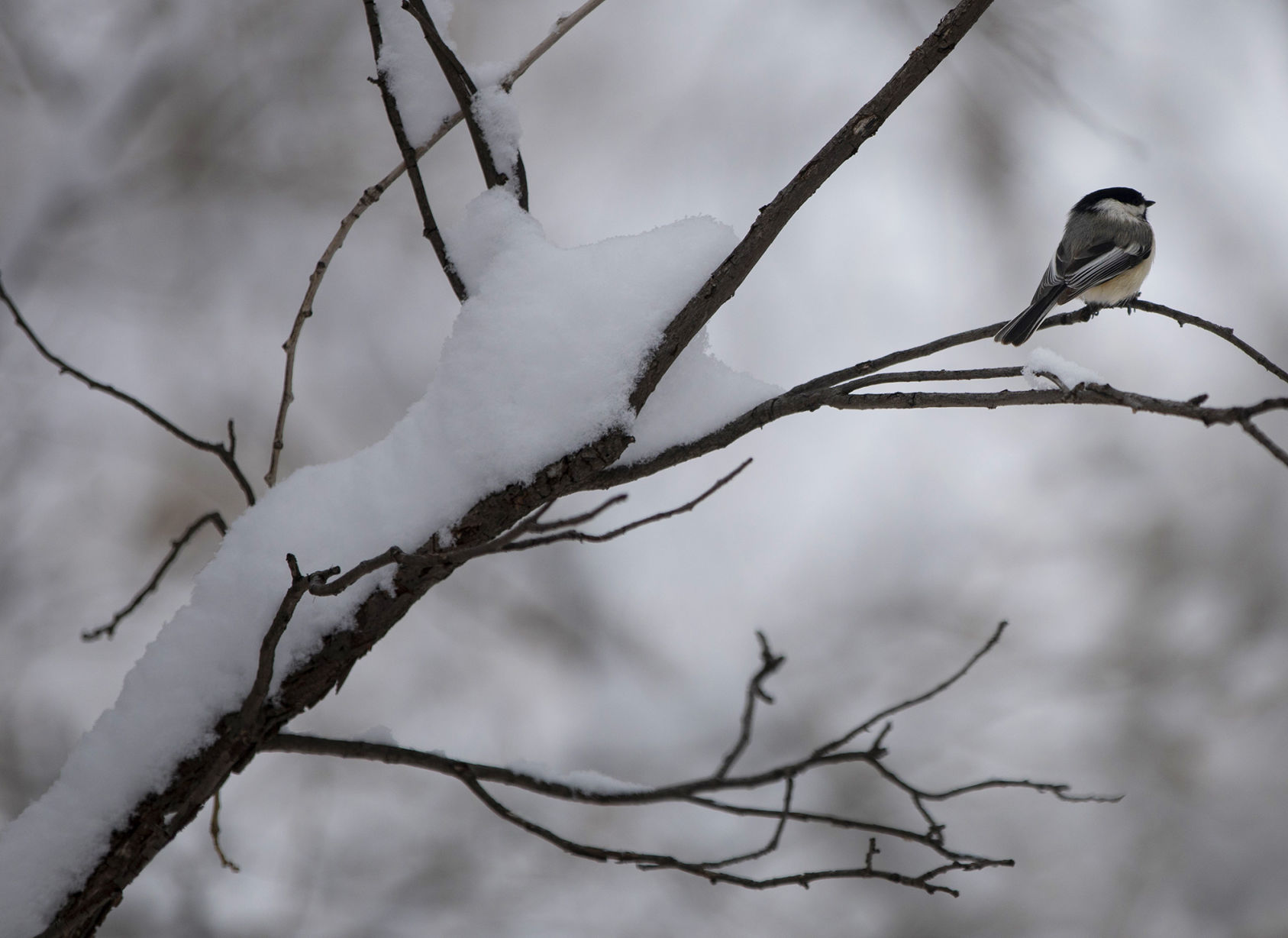 040420-news-snow 05.jpg